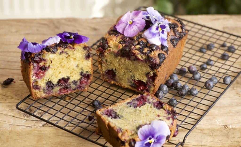 1hr Simple Lemon Blueberry Loaf Cake - Alphafoodie