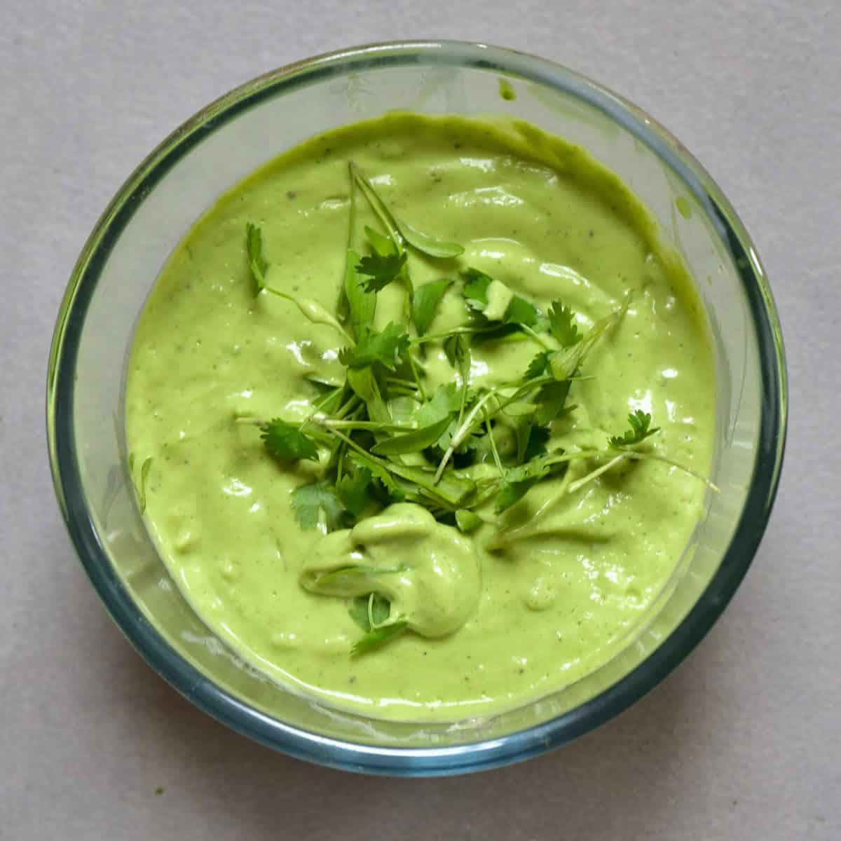 Guacamole in a bowl topped with some coriander 