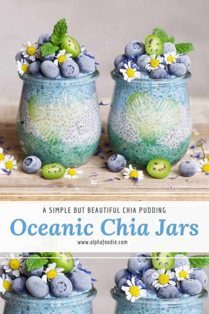 OCEAN blue and green CHIA pudding. healthy breakfast option