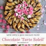 chocolate pastry. tarte soleil. vegetarian dessert with chocolate