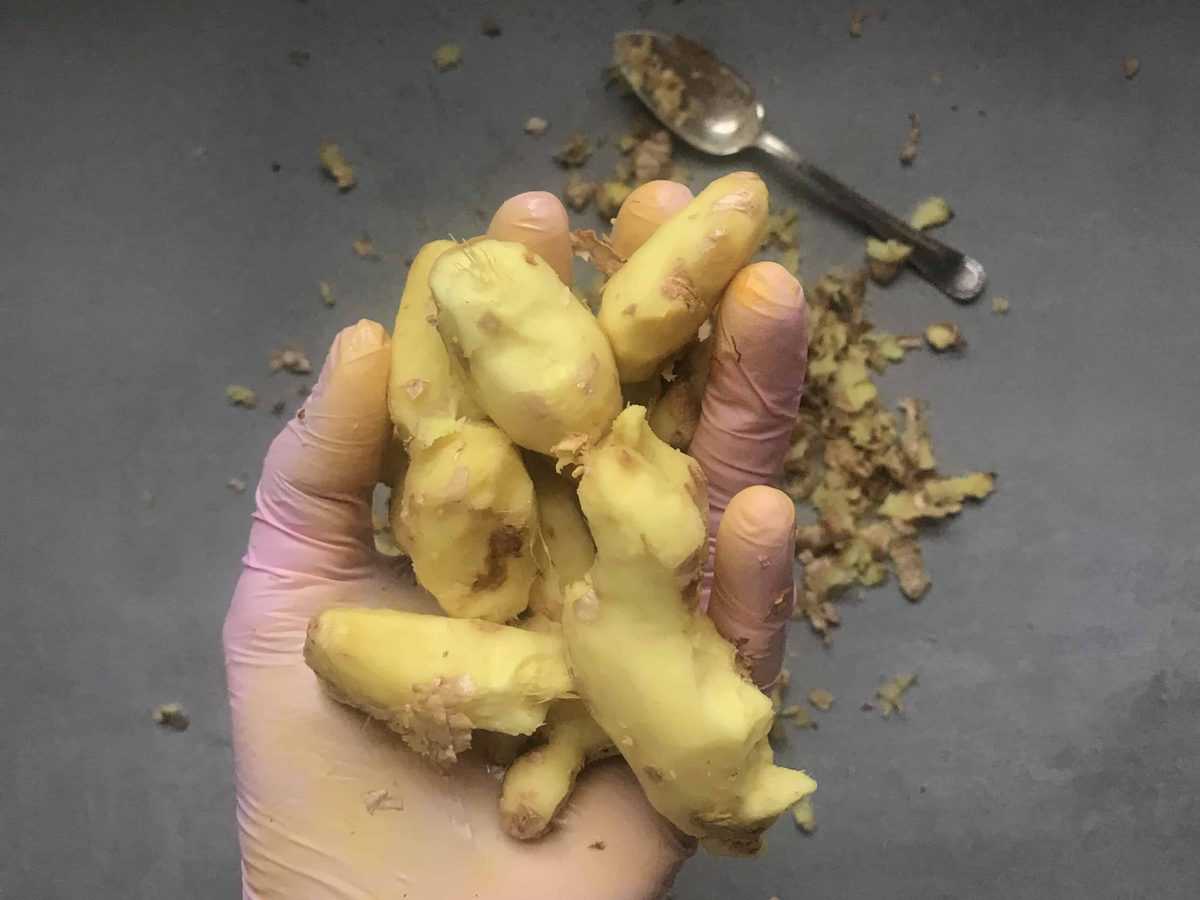 A hand holding a few peeled ginger pieces and the peels and a spoon laying on a surface below the hand 