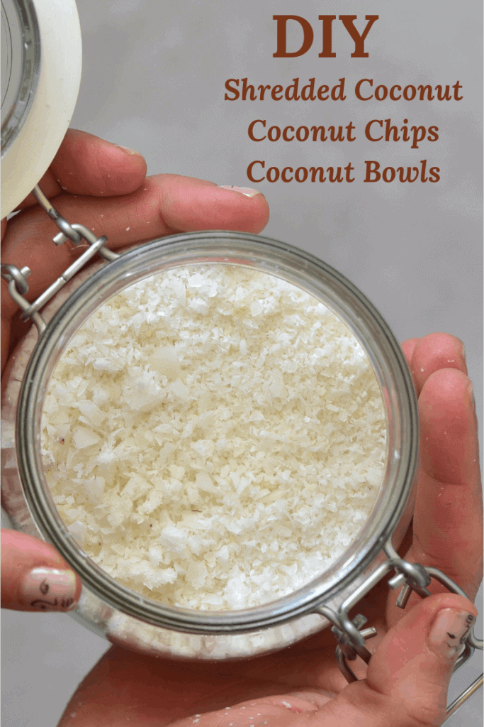 Simple DIY Coconut Bowls, chips & Shredded ( desiccated) Alphafoodie