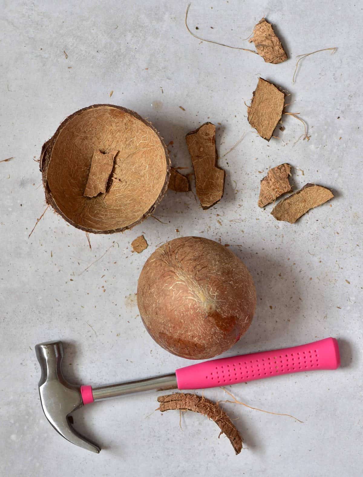 Coconut opened with a hammer