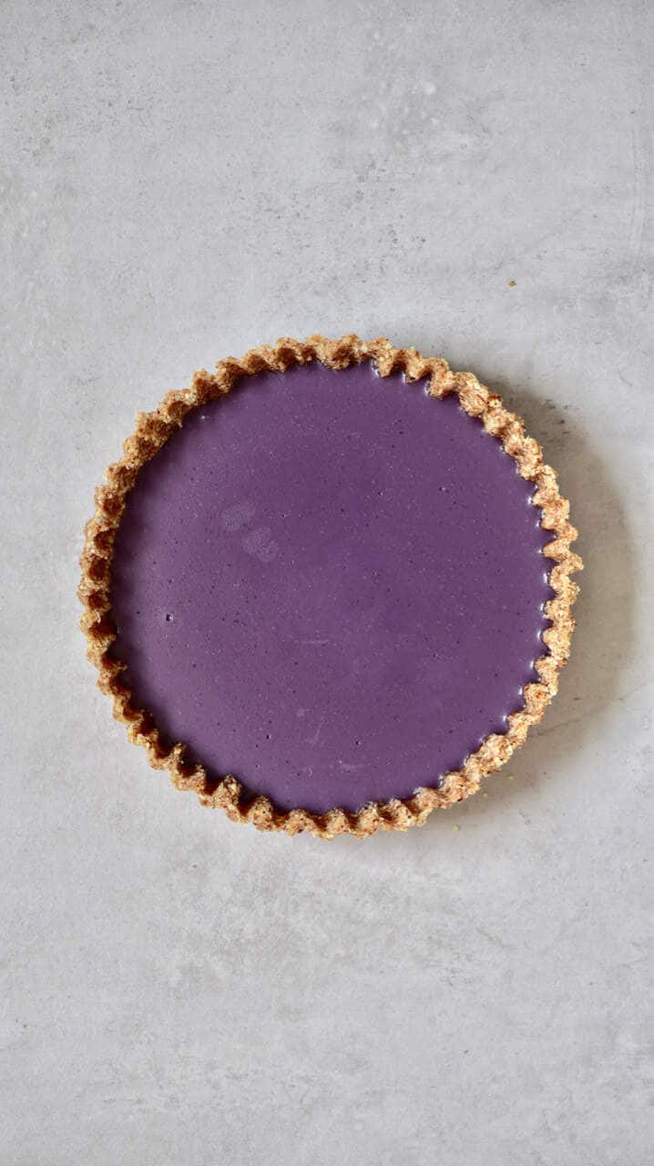 Blueberry tart with no decoration