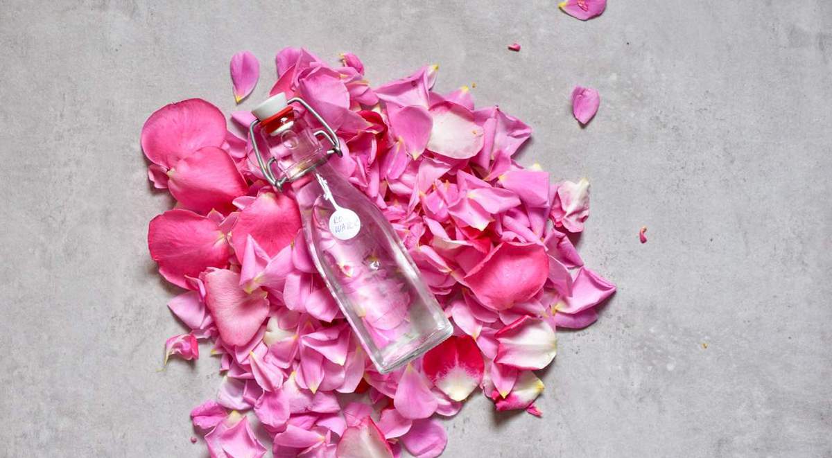 Homemade rose water in a bottle places over rose petals