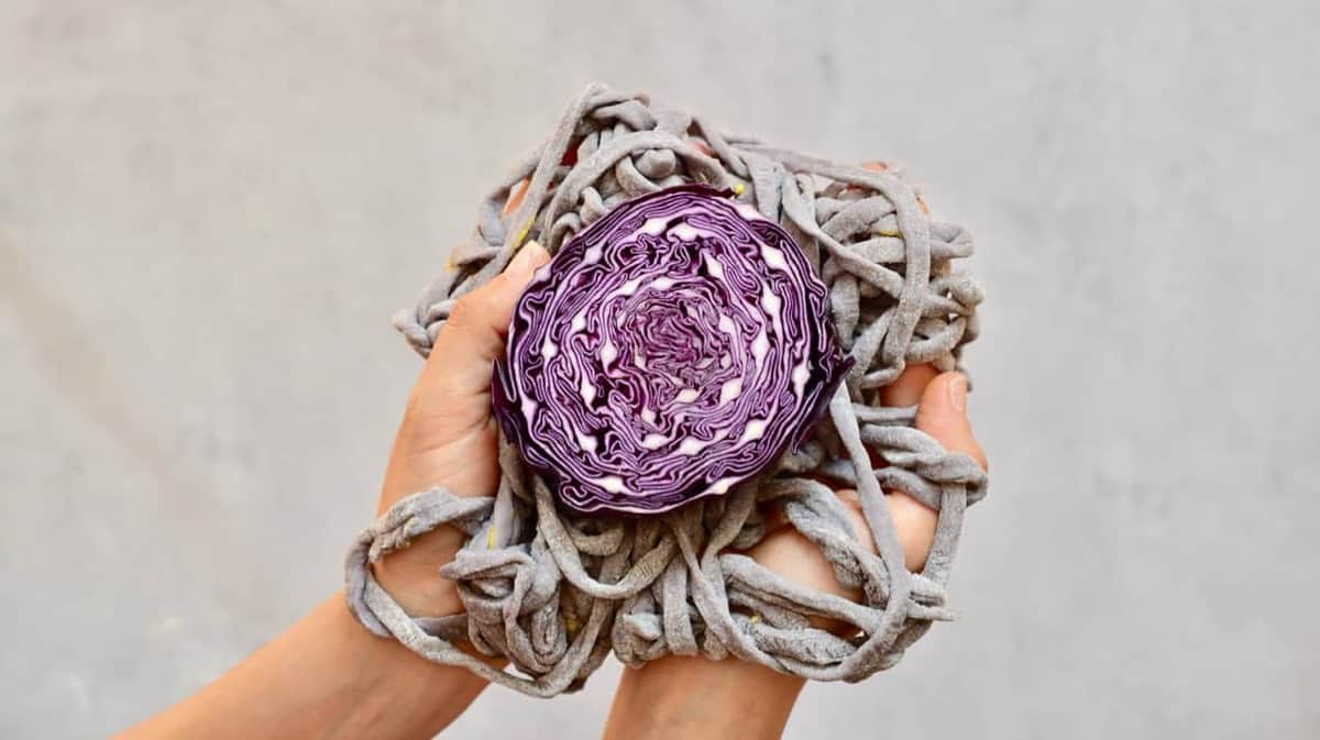 Homemade purple pasta strings with half red cabbage being held in hands