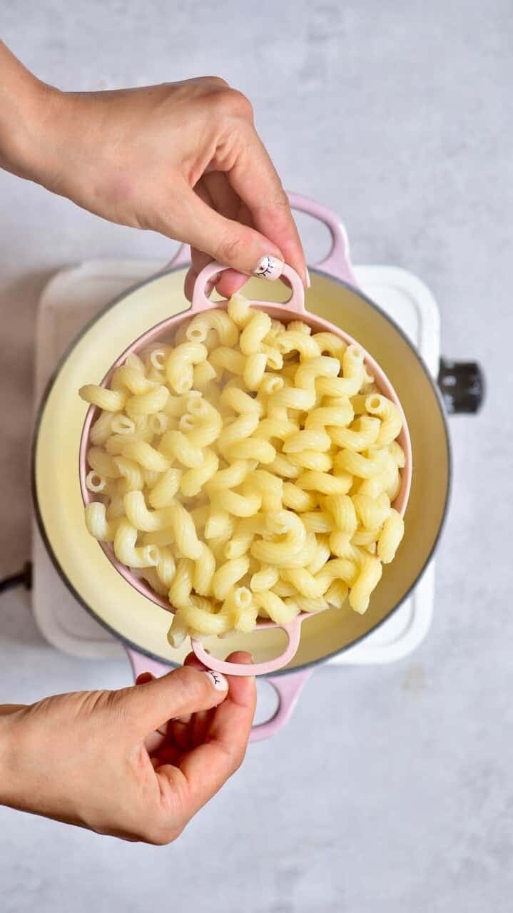 Cooked macaroni pasta