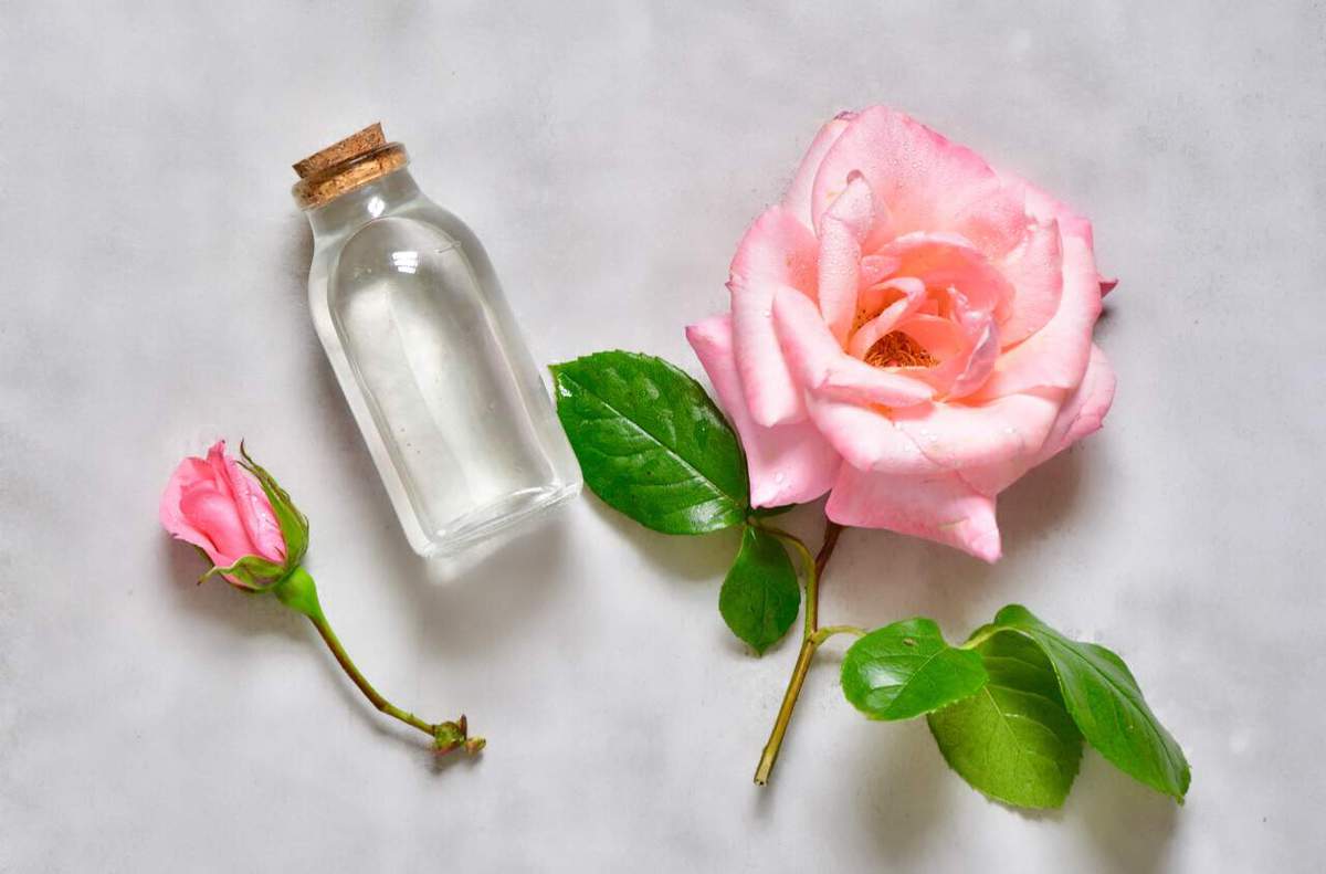 Homemade rose water in a glass vial placed next to a rose flower