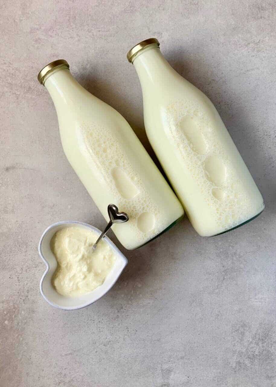 milk and yogurt starter for homemade natural yogurt
