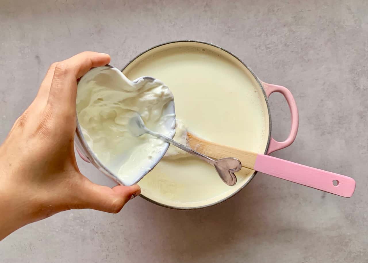 mixing starter yogurt in milk