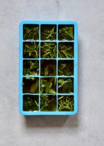 storing herbs to preserve them with oil