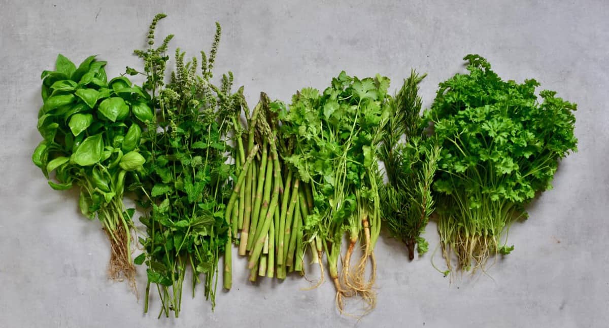 How to organise your fridge, reduce waste, plastic-free tips with food storage hacks. Storing herbs