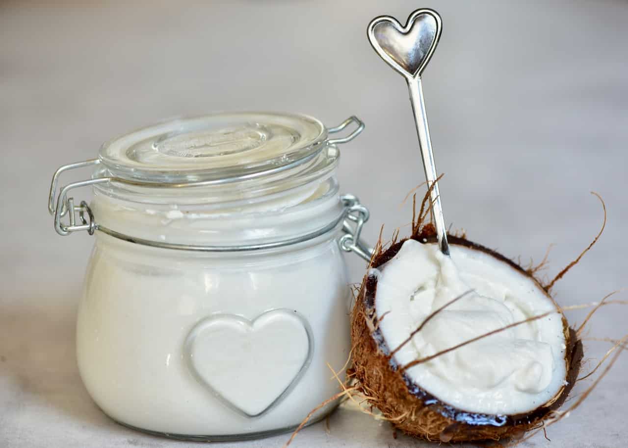 Homemade Dairyfree Coconut Yogurt Alphafoodie