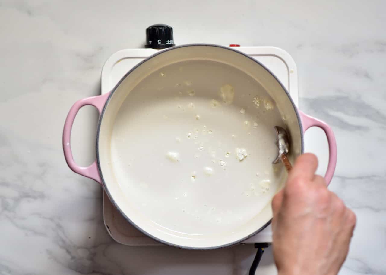 Homemade Dairyfree Coconut Yogurt Alphafoodie