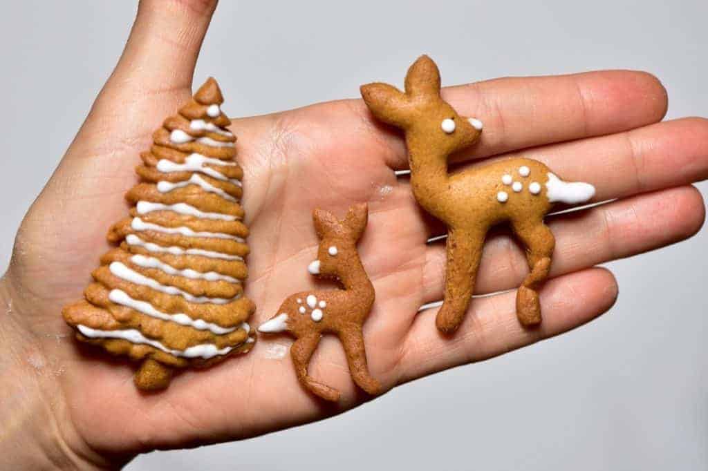 Christmas gingerbread cookie recipe 
