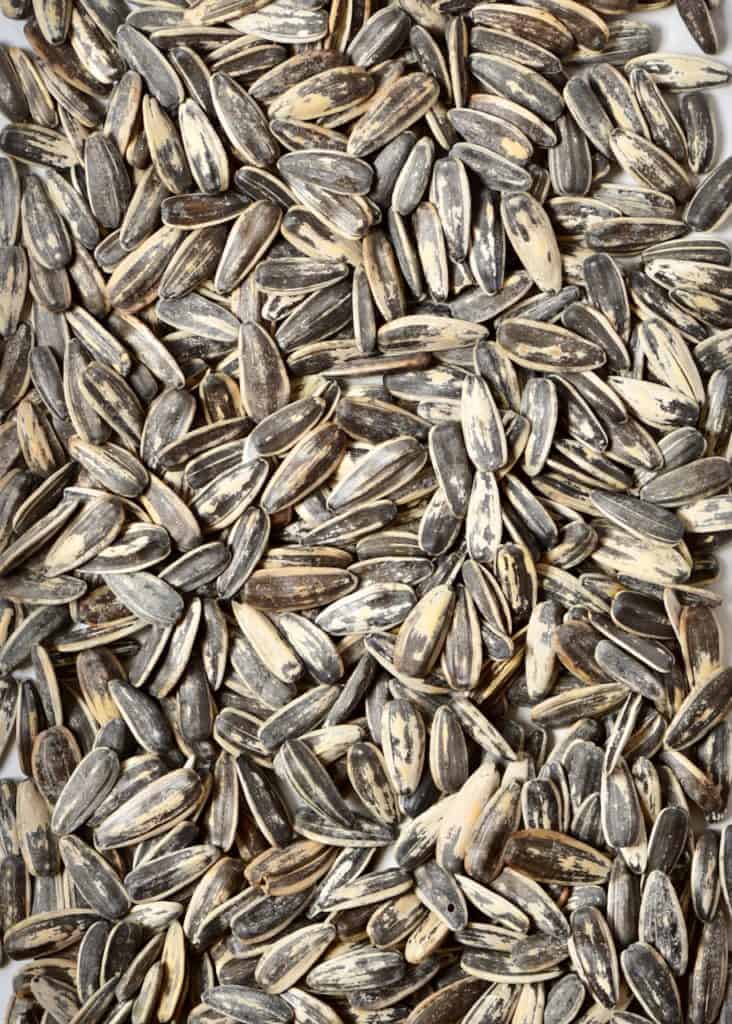 Homemade Sunflower Seed Butter (OilFree) Alphafoodie