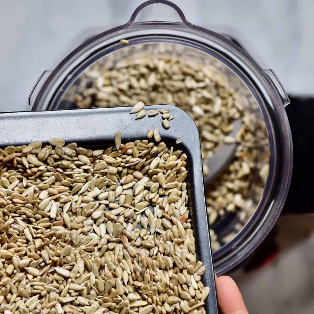 pouring sunflower seeds in a blender