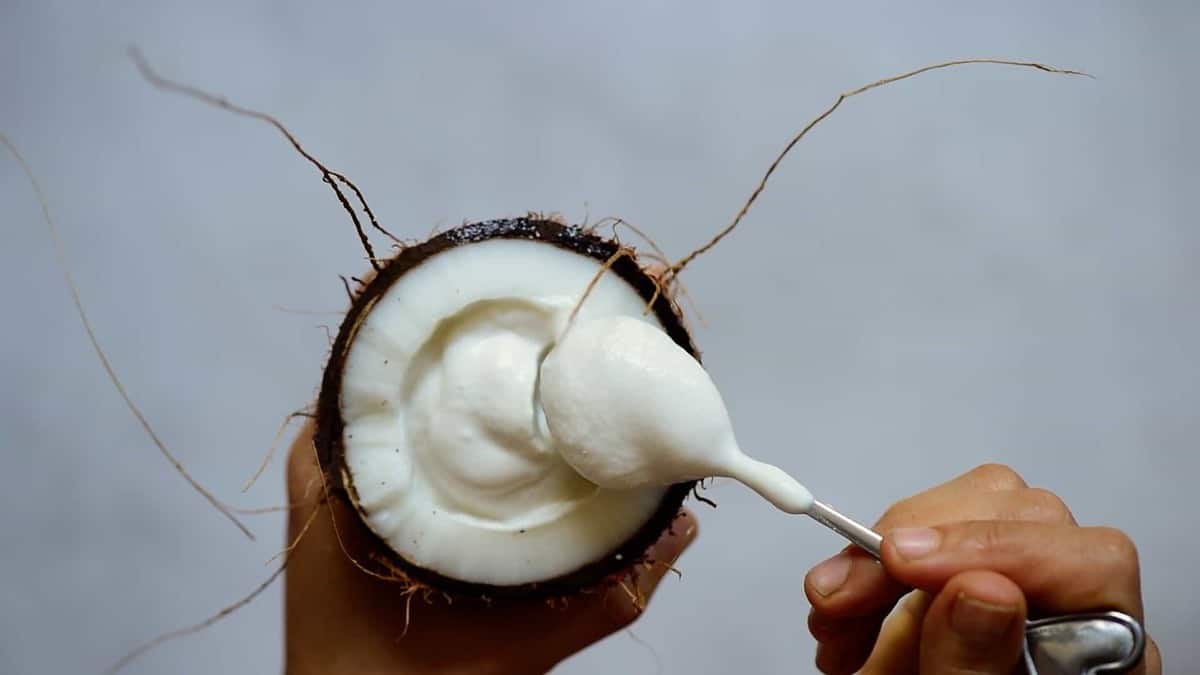 homemade coconut yogurt in a spoon