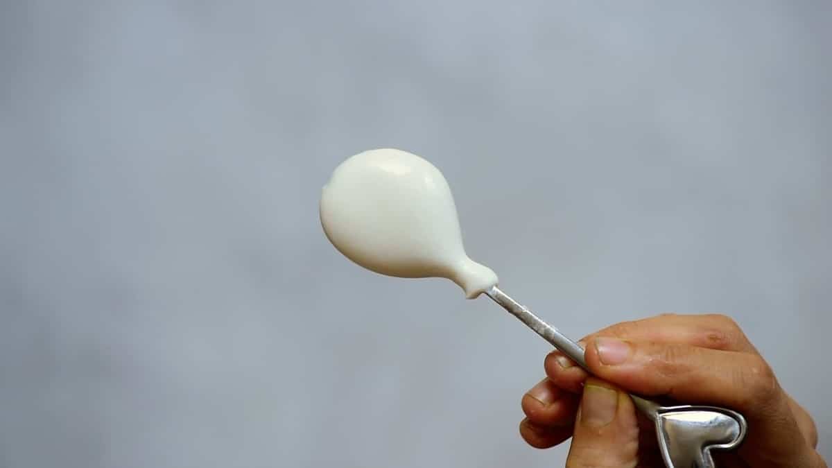 homemade coconut yogurt in a spoon