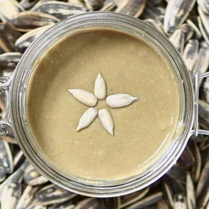 Homemade Sunflower Seed Butter Alphafoodie