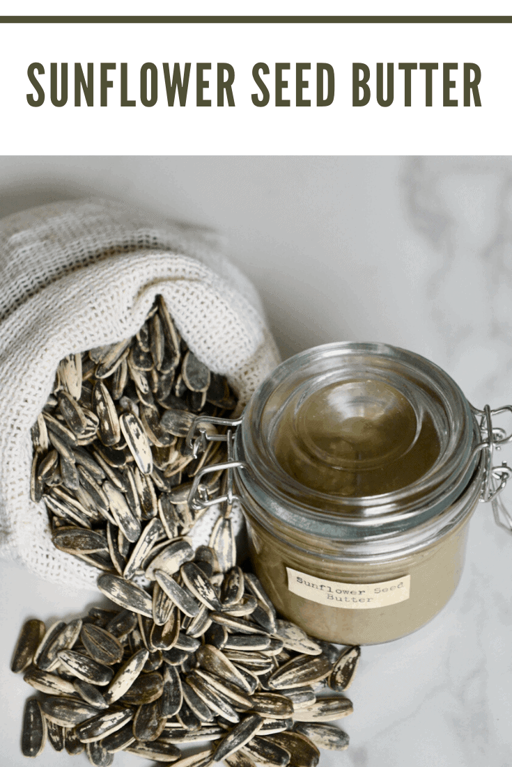 Homemade Sunflower Seed Butter (OilFree) Alphafoodie