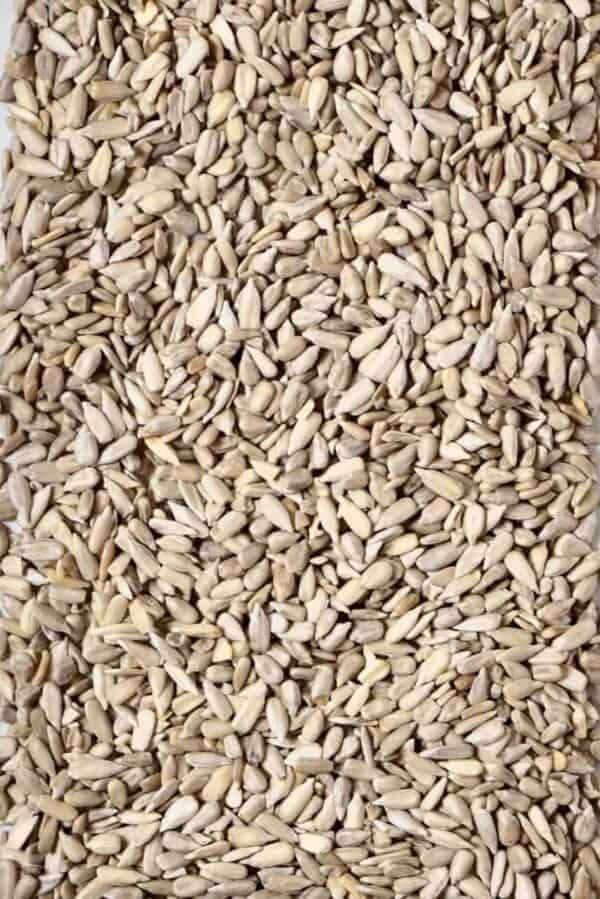 Homemade Sunflower Seed Butter (OilFree) Alphafoodie