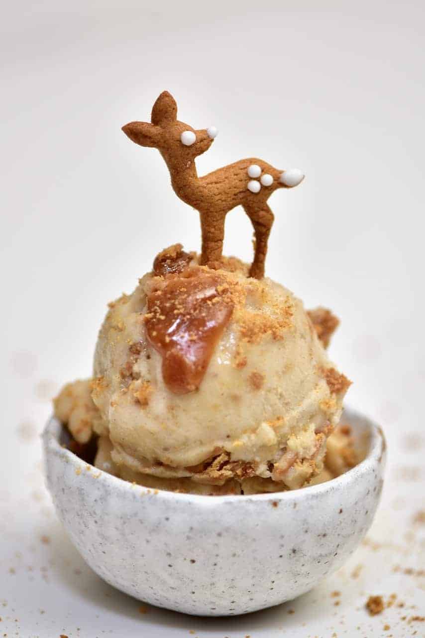 Gingerbread Ice Cream with Gingerbread Cookies