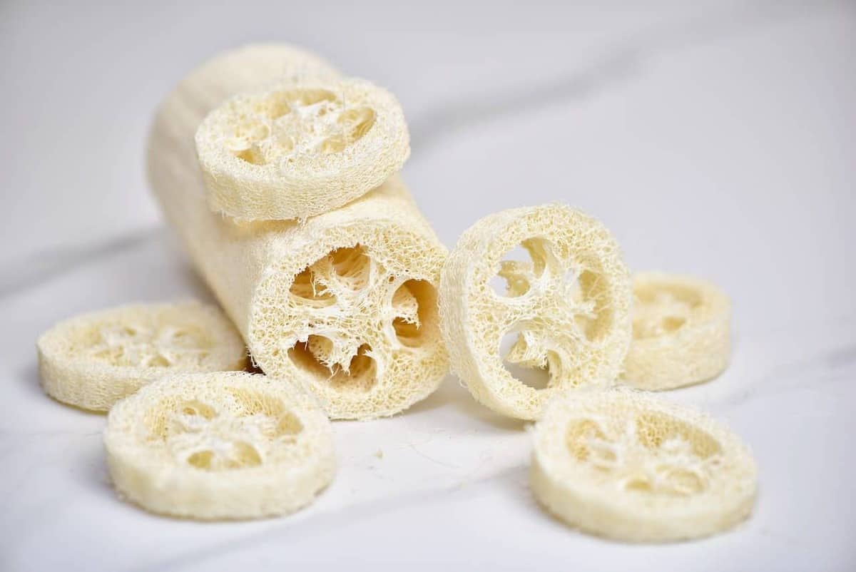natural loofah sponge, chopped into sections for homemade soap