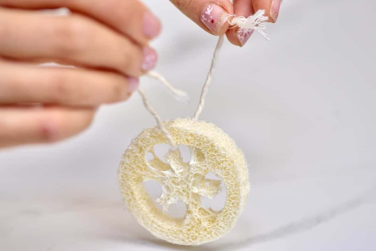 natural loofah sponge on a string