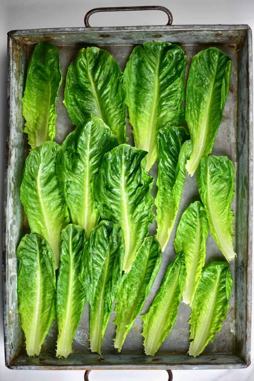 romaine lettuce on tray