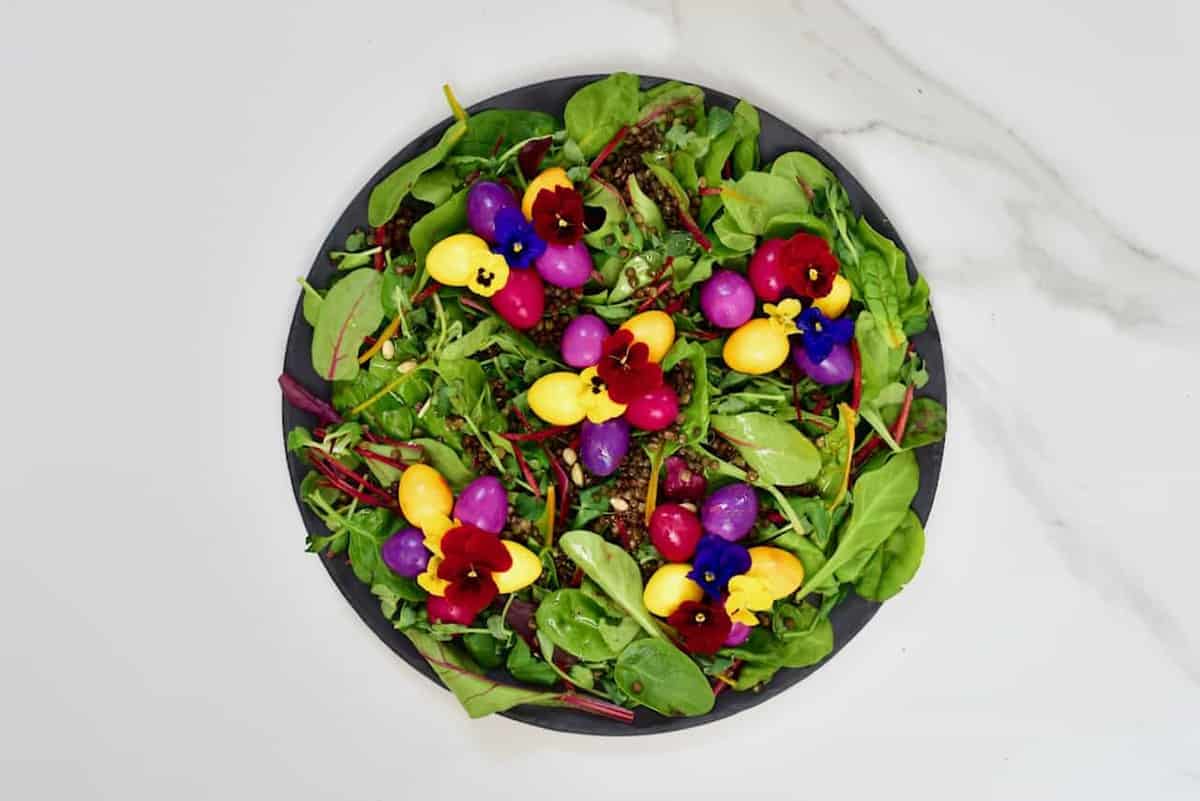 naturally dyed pickled eggs - rainbow quail eggs over a lentil and leafy green vegetable salad - an easter centrepiece