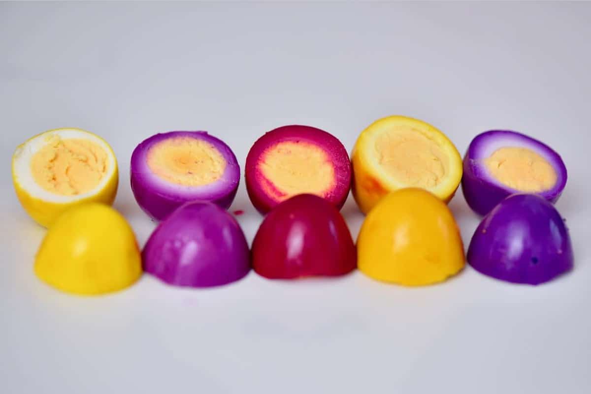 rainbow naturally coloured quail eggs in a row 