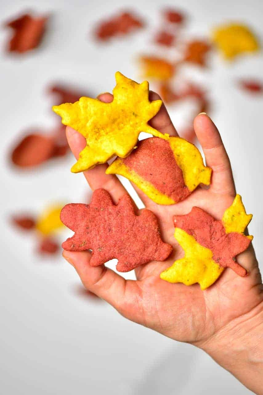 Autumn Leaf Crackers in a hand