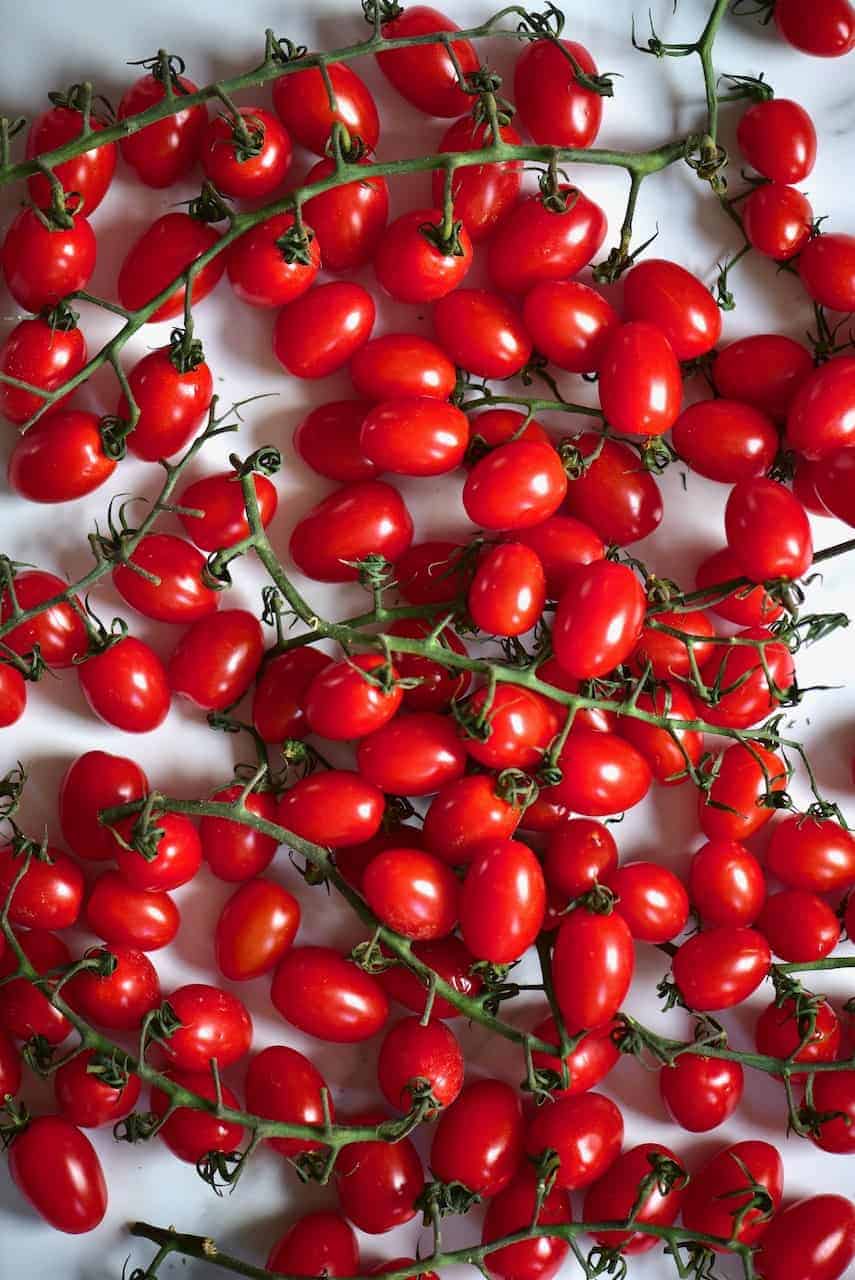organic stem tomatoes