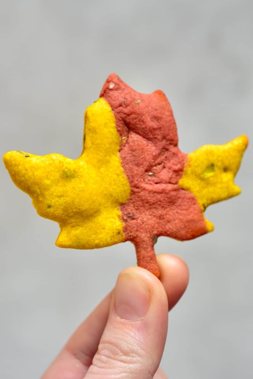 Maple Autumn Leaf Cracker