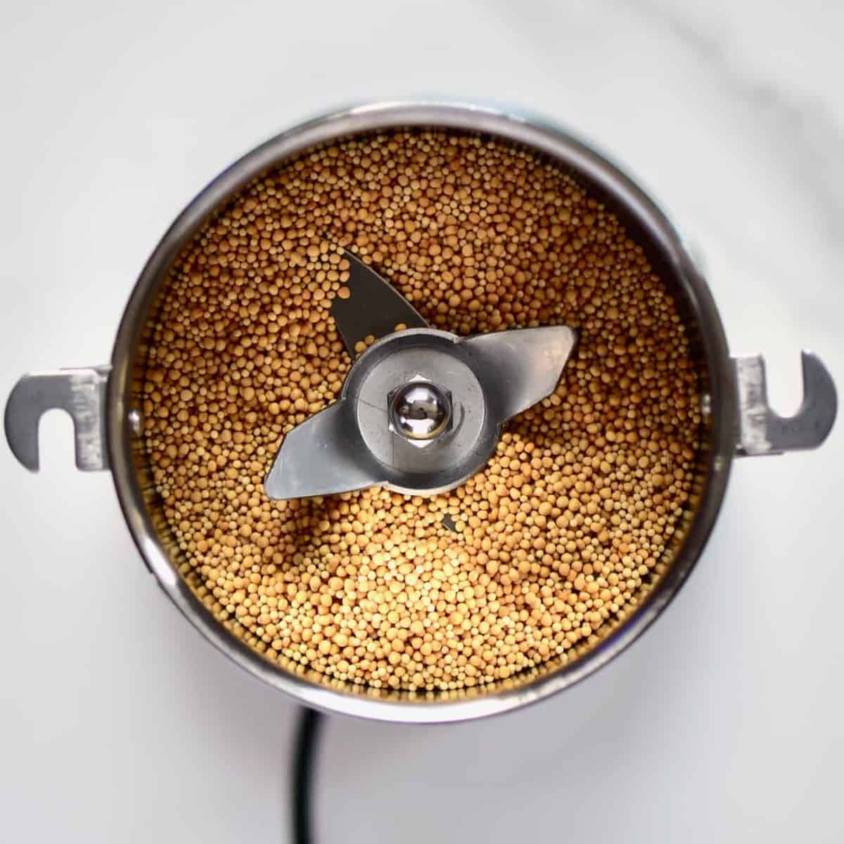 mustard seeds in a spice grinder