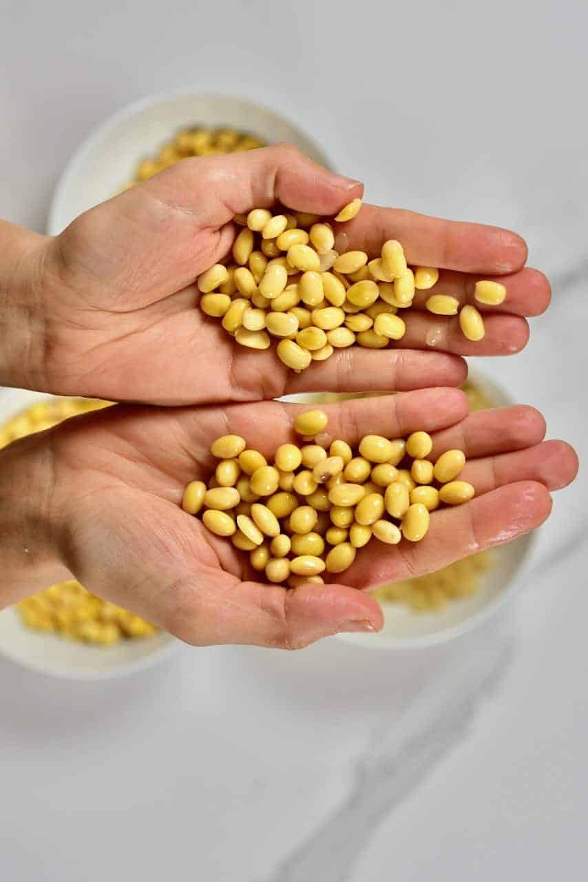 a handful of soy beans