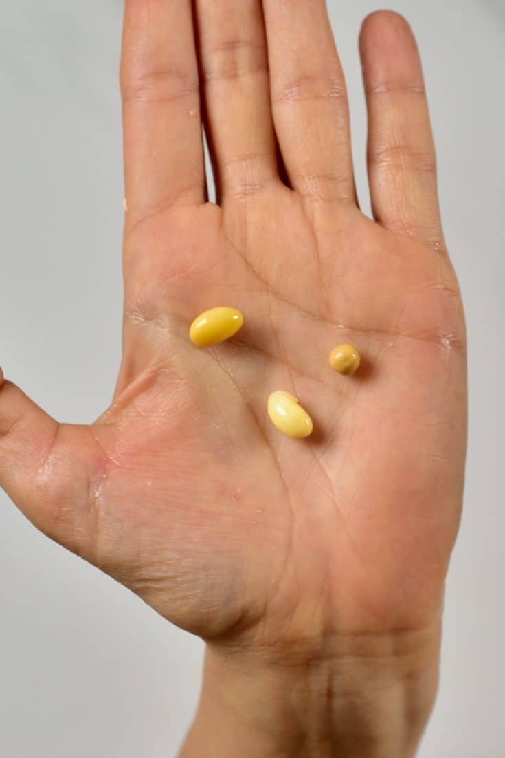 Simple Homemade Soy milk Recipe Alphafoodie