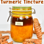 A big jar with homemade turmeric tincture with a turmeric root laying against it and a few other turmeric pieces arranged on a flat surface 