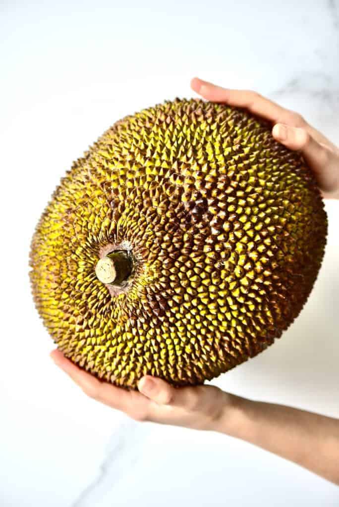 Vegan BBQ Pulled Jackfruit Recipe Alphafoodie