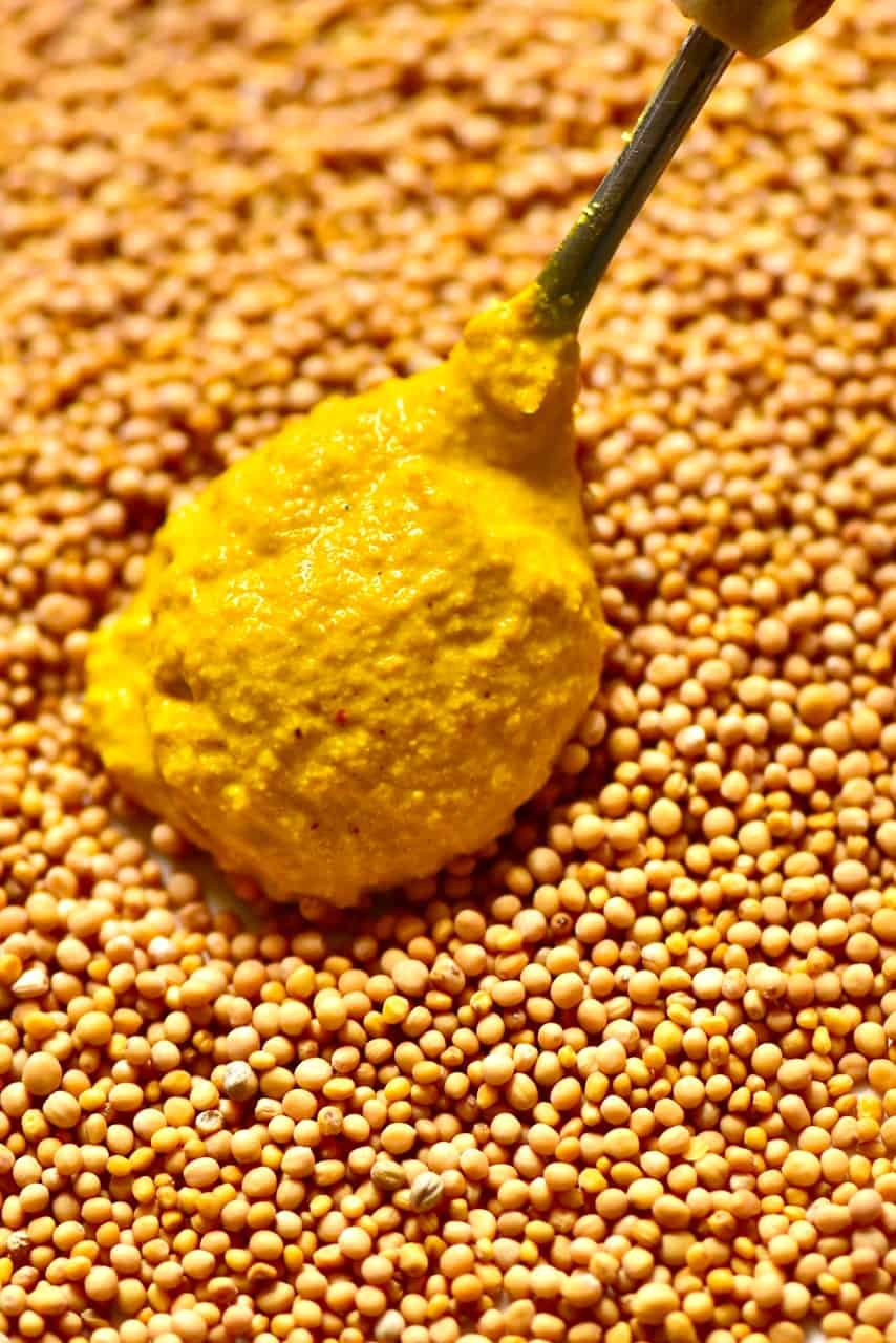 Closeup of mustard spoonful