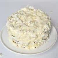 Square Coconut cake covered with coconut chips