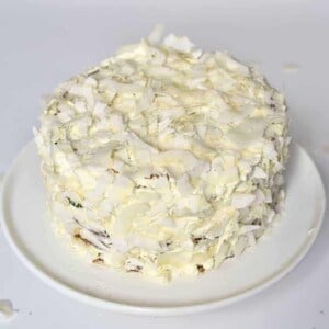 Square Coconut cake covered with coconut chips