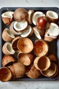 Coconut flesh and coconut shells