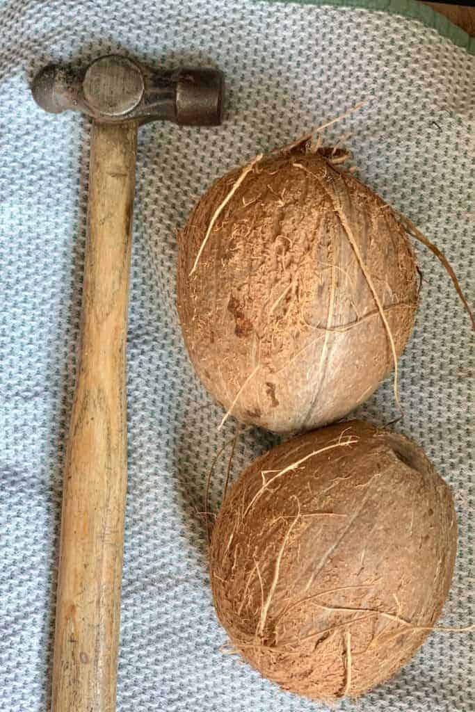Two coconuts and a hammer