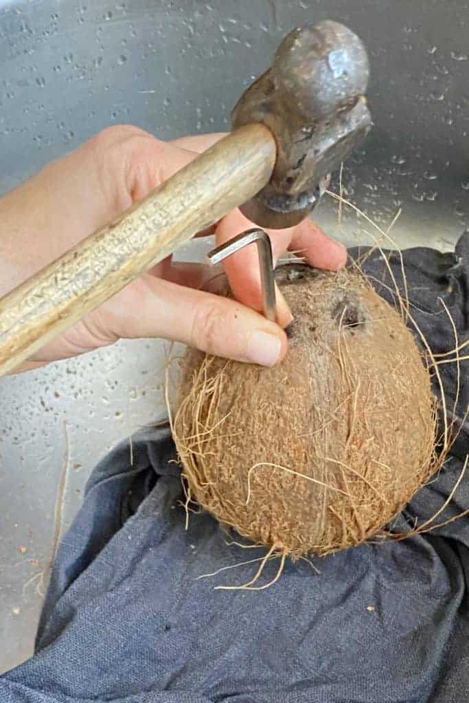 Opening a coconut with a hammer