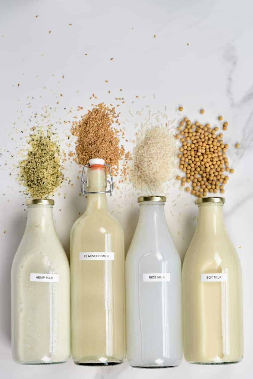 Homemade seed milk