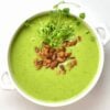 A bowl of pea soup with toasted pine nuts and micro greens on top
