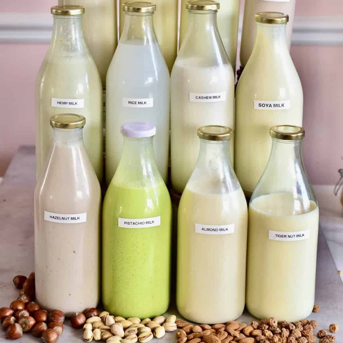 Square photo of homemade milks
