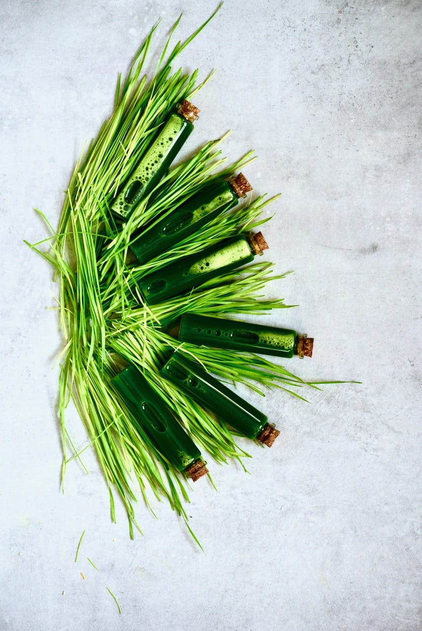 Wheatgrass shots